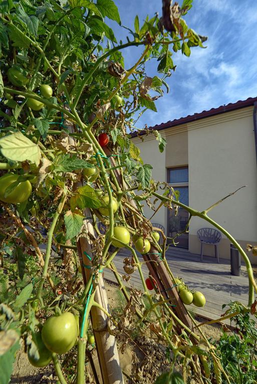 Resort Il Gallo Senone Senigallia Room photo